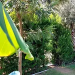 Palmiyem * Seferihisar