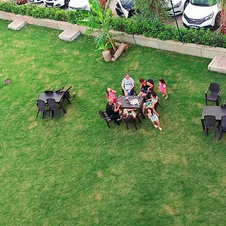 Palmiyem ספריהיסאר