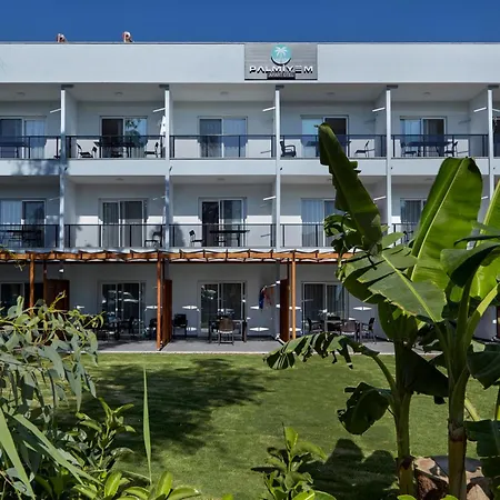 Palmiyem ספריהיסאר