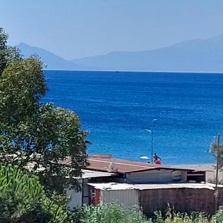 Palmiyem ספריהיסאר