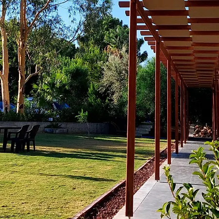 Palmiyem ספריהיסאר