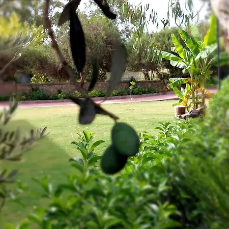 Apart-hotel Palmiyem