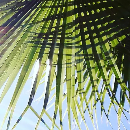 Palmiyem Apart-hotel *