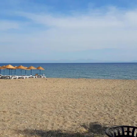 Apart-hotel Palmiyem *