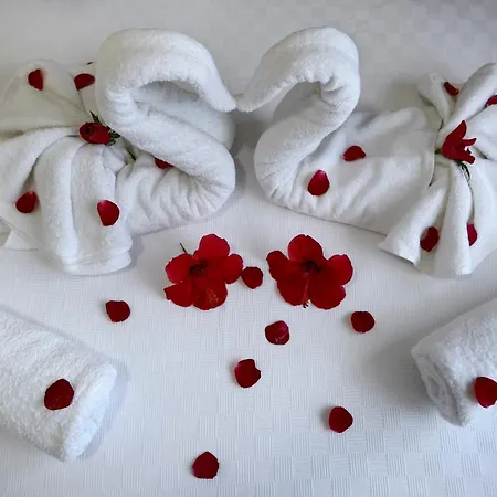 Palmiyem Apart Otel Seferihisar