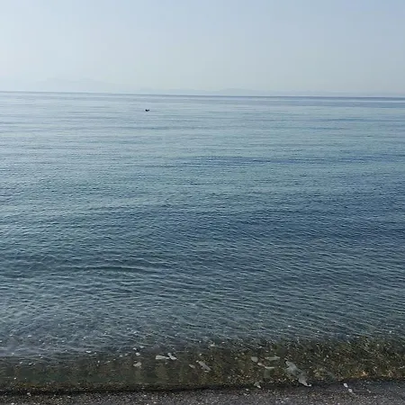 Palmiyem Apart-hotel