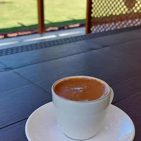 Palmiyem Apart Otel Seferihisar