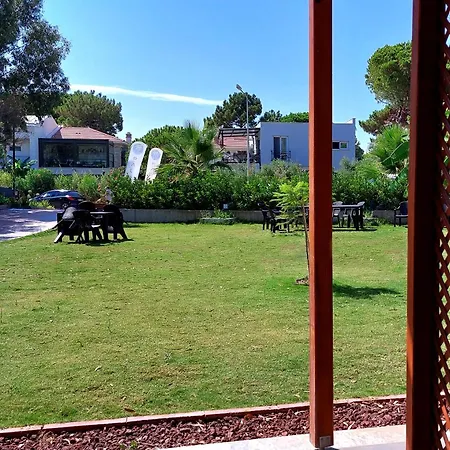 Palmiyem Seferihisar